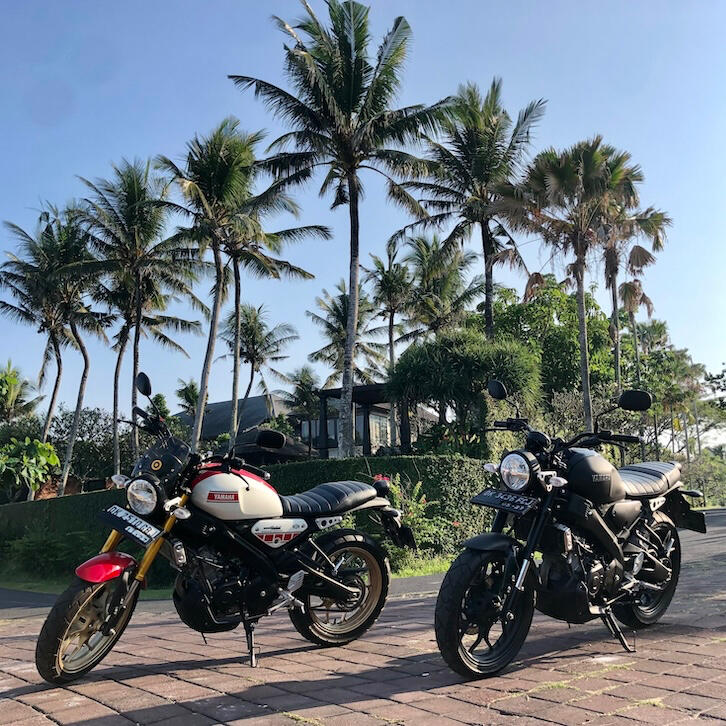 Yamaha XSR 155 WGP